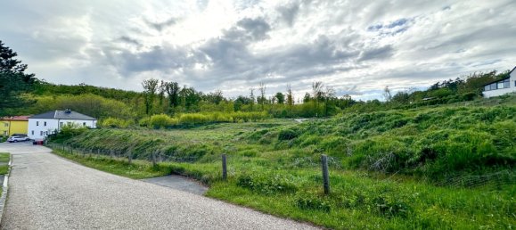  Land in Leobendorf, Austria No. 135113 4