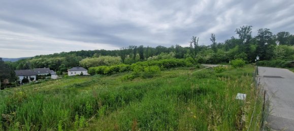  Land in Leobendorf, Austria No. 135113 9