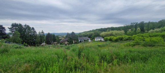  Land in Leobendorf, Austria No. 135113 8