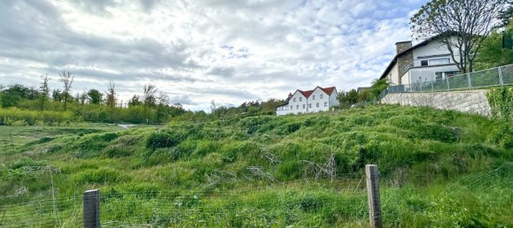  Land in Leobendorf, Austria No. 135113 7