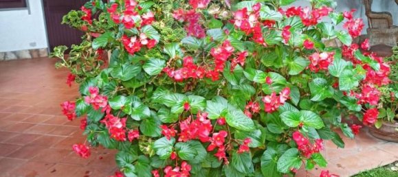 5-Zimmer Villa in Toritto, Italy, Nr. 149766 3