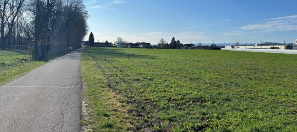 Grundstück in Leibnitz, Austria, Nr. 48587 6