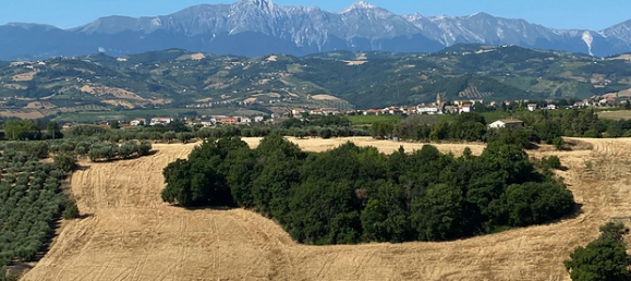 3-Zimmer Wohnung in Notaresco, Italy, Nr. 296201 3