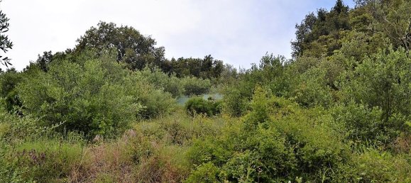 10000m² Hotel in Corfu, Greece No. 4950 2