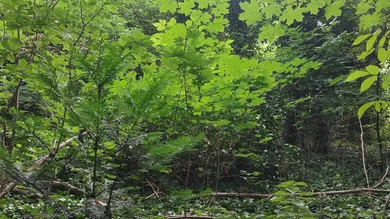 Grundstück in Wolfsberg, Austria, Nr. 165120