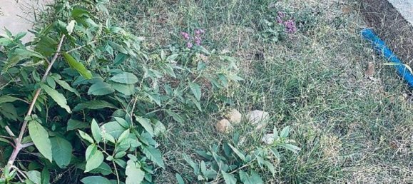 6 Schlafzimmer Haus in Coimbra, Portugal, Nr. 327583 15