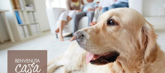 17m² Parking in Rimini, Italy No. 329188 11