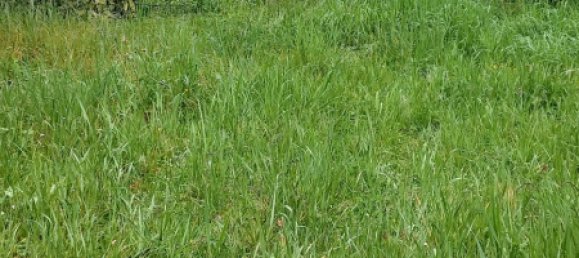 4 غرف نوم منزل في Ignol, France رقم 72612 14