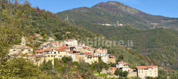 1 bedroom Apartment in Pieve di Teco, Italy No. 169141 2