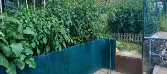 7 rooms House in Montesilvano, Italy No. 93060 8