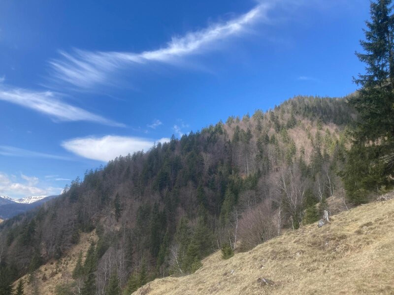 Земельный участок в Штайнберг ам Рофан, Австрия № 164359