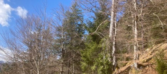 Земельный участок в Штайнберг ам Рофан, Австрия № 164359 3