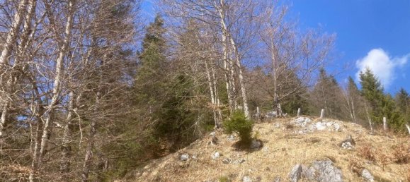 Земельный участок в Штайнберг ам Рофан, Австрия № 164359 4