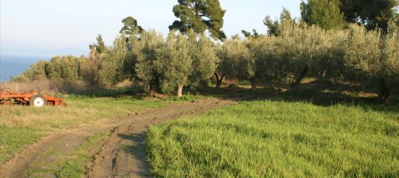 20000m² Hotel in Chalkidiki, Greece No. 8044 4