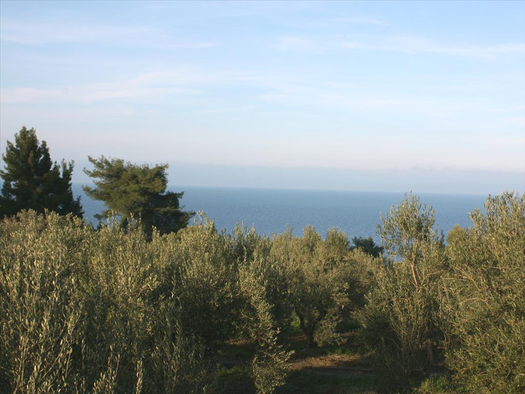20000 m² hotel en venta en Chalkidiki, Central Macedonia, Macedonia and Thrace, Greece № 8044
