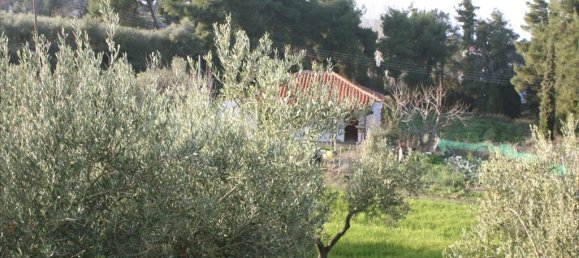 20000m² Hotel in Chalkidiki, Greece No. 8044 9