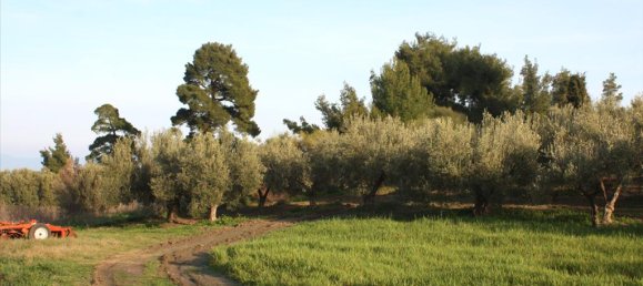 20000m² Hotel in Chalkidiki, Greece No. 8044 8