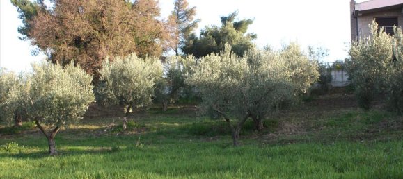 20000m² Hotel in Chalkidiki, Greece No. 8044 7