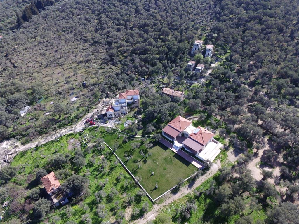 Property in Lesbos, Greece 1170m², Nr. 15987