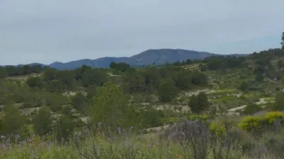 Terreno em Bullas, Spain 36000 m² N.º 249290