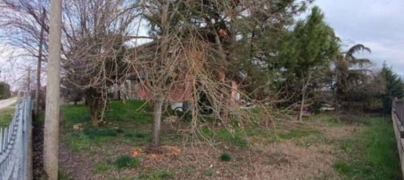 4 rooms Apartment in Magliano Alfieri, Italy No. 296843 7