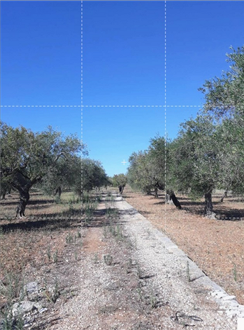 Grundstück in Gioia del Colle, Italy 2300m², Nr. 302887