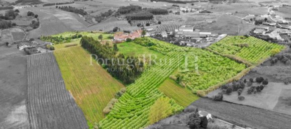 Дом с 9 спальнями в Бомбаррал, Португалия № 146233 8