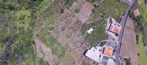 5 غرف نوم منزل في Ponta do Sol, Portugal رقم 91416 13