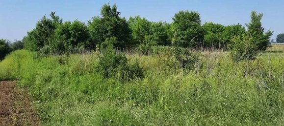 10005m² Land in Cortemaggiore, Italy No. 293312 15