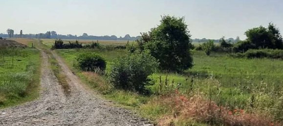 10005m² Land in Cortemaggiore, Italy No. 293312 3