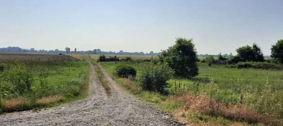 10005m² Land in Cortemaggiore, Italy No. 293312 2