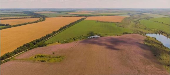 10005m² Land in Cortemaggiore, Italy No. 293312 6