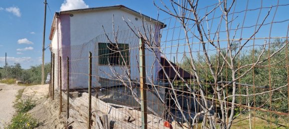 Земельный участок 1370м² в Трани, Италия № 105585 16