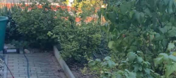 4 Schlafzimmer Haus in Sachsen, Germany, Nr. 284474 11