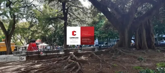 1 bedroom Apartment in Lisbon, Portugal No. 153016 25