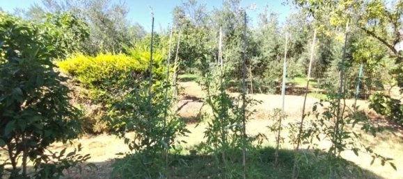 7 bedrooms Villa in Pianella, Italy No. 376905 23