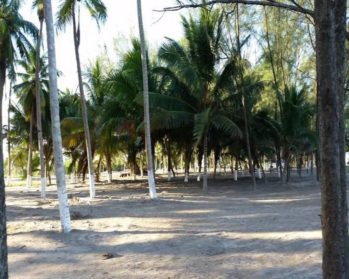 Grundstück in Veracruz, Mexico, Nr. 206162