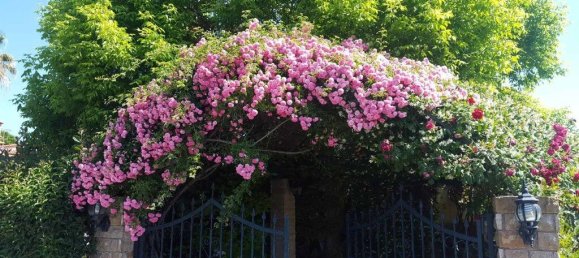 5 غرف نوم فيلا في Chalkidiki, Greece رقم 1841 9