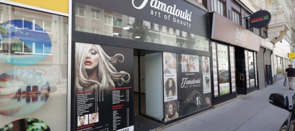 Gewerbliche Immobilie in Josefstadt, Austria 60m², Nr. 147506 5