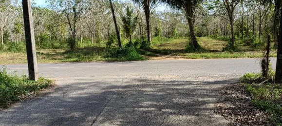  قطعة أرض في Phang Nga, Thailand 43200متر مربع رقم 70626 2