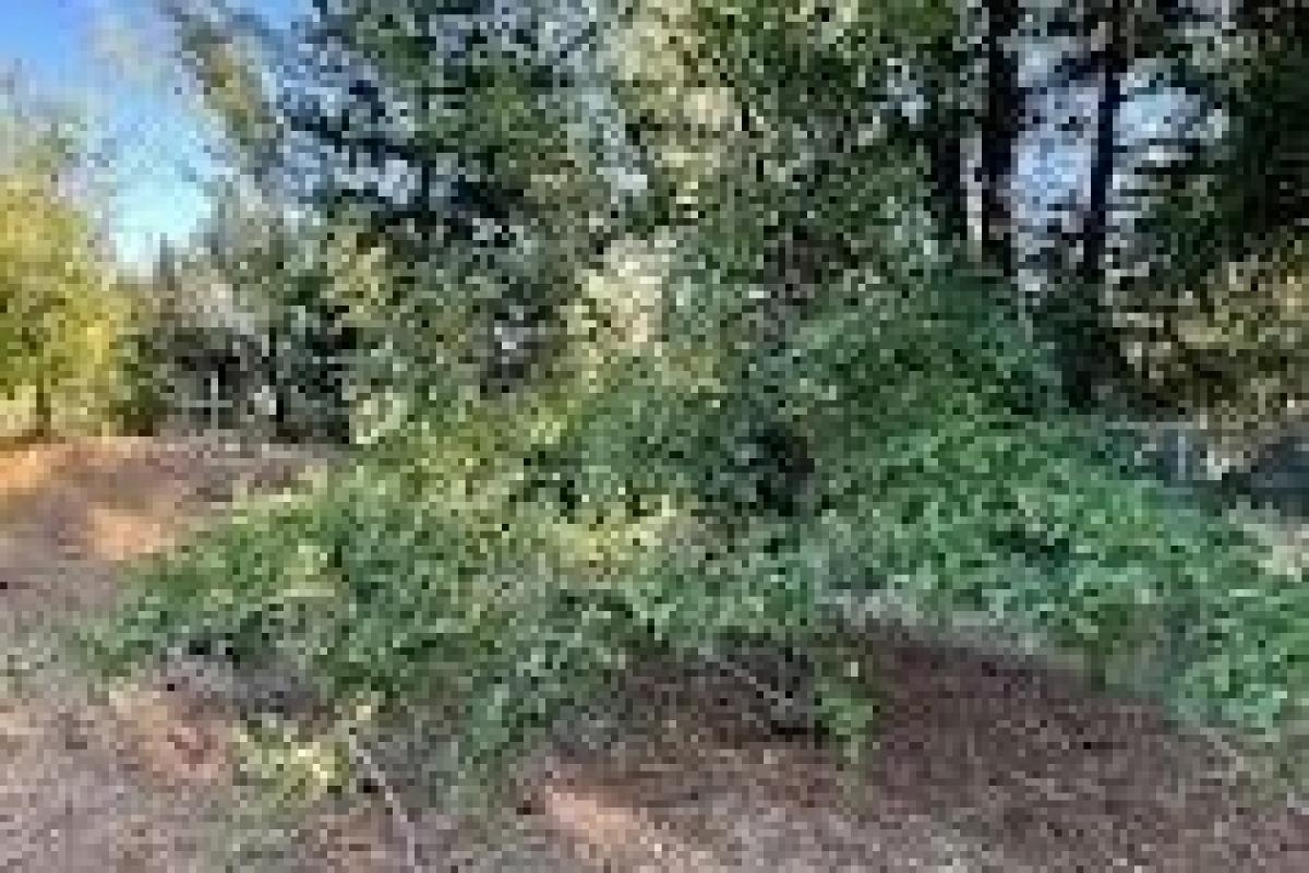 Studio in Georgetown, USA, Nr. 316339