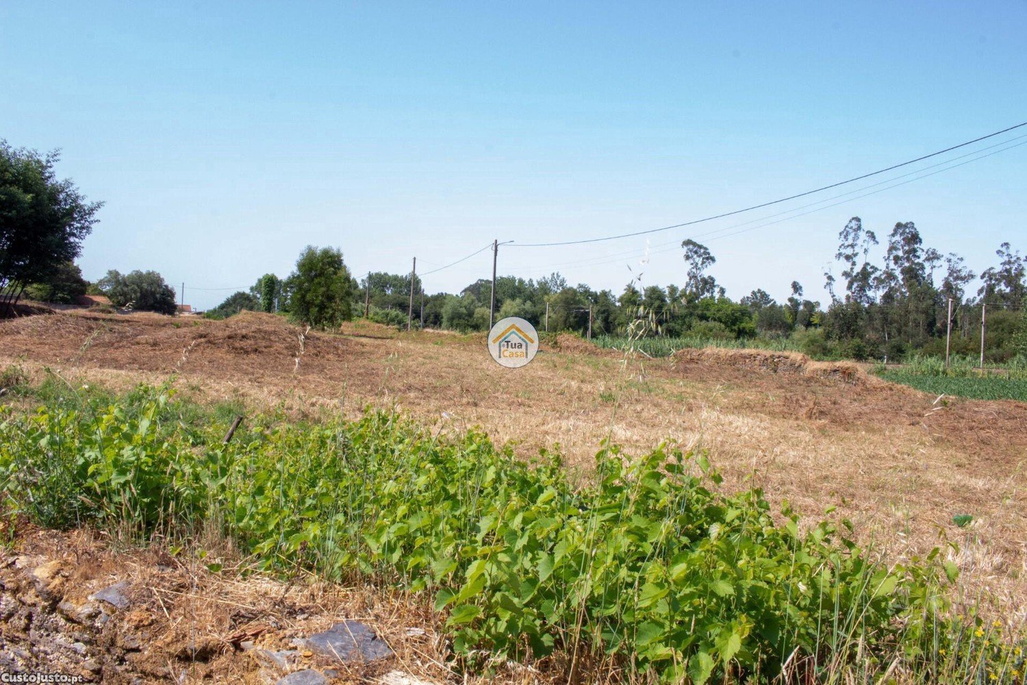 Земельный участок 7000м² в Овар, Португалия № 206332