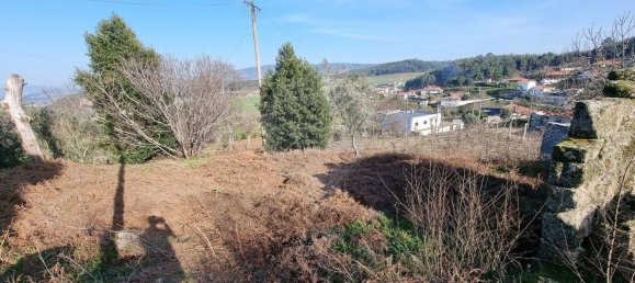 1 غرف نوم منزل في Marco de Canaveses, Portugal رقم 168072 3