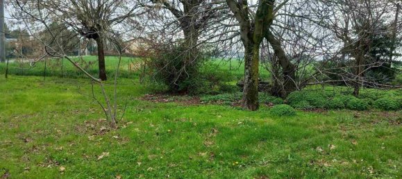 6 rooms House in Modena, Italy No. 219457 7