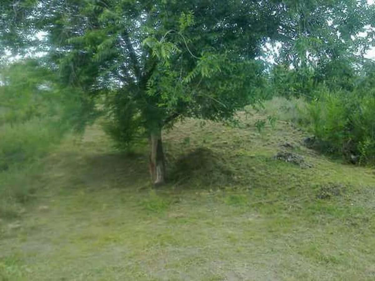 Земельный участок в Кордоба, Аргентина № 37250