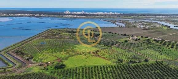 5 Schlafzimmer Haus in Castro Marim, Portugal, Nr. 120394 12