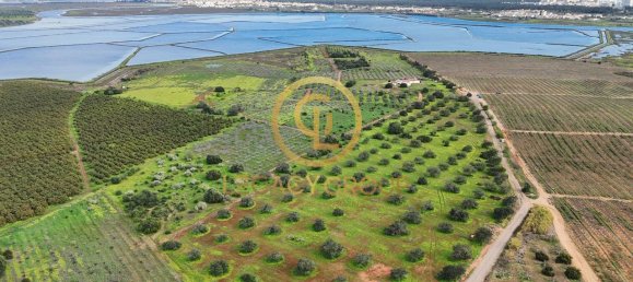 5 Schlafzimmer Haus in Castro Marim, Portugal, Nr. 120394 13