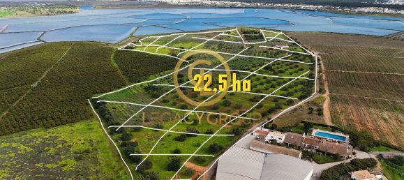 5 Schlafzimmer Haus in Castro Marim, Portugal, Nr. 120394 17