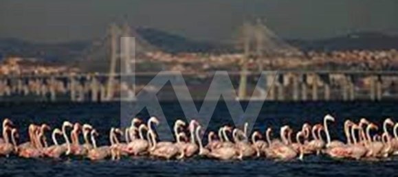 4 غرف نوم منزل في Alcochete, Portugal رقم 51491 37