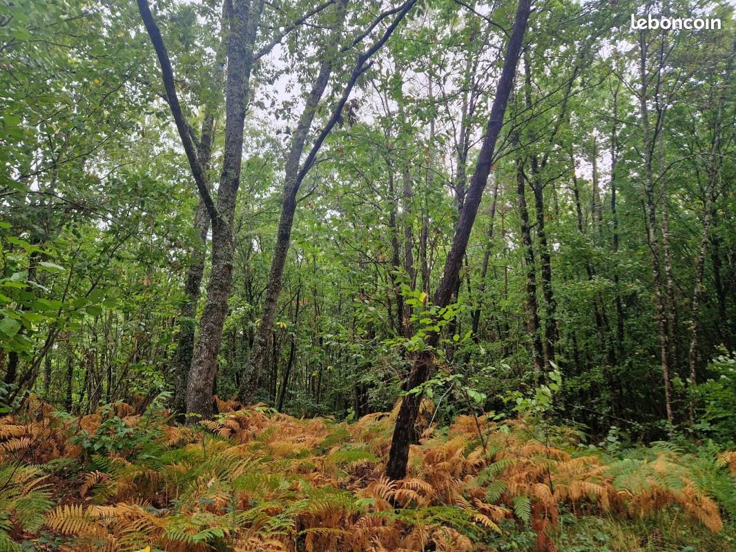  قطعة أرض في Dordogne, France 88247متر مربع رقم 341691